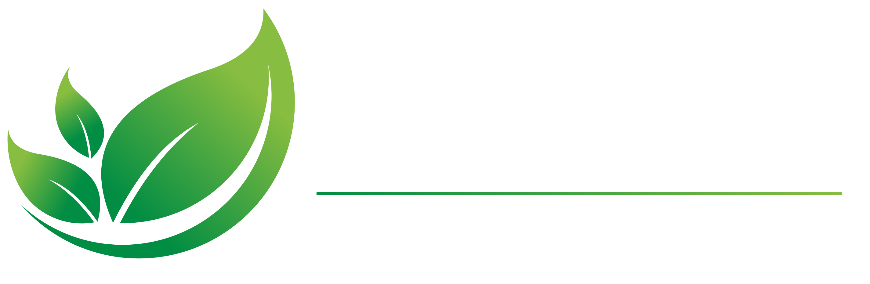 Life Creations